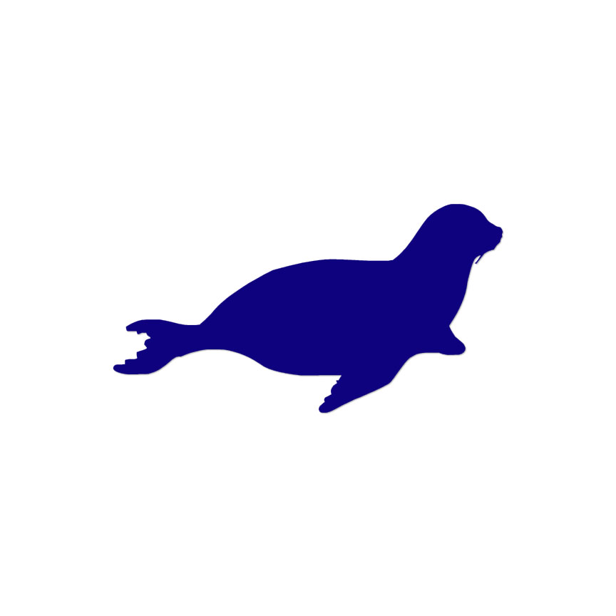 2868.jpg